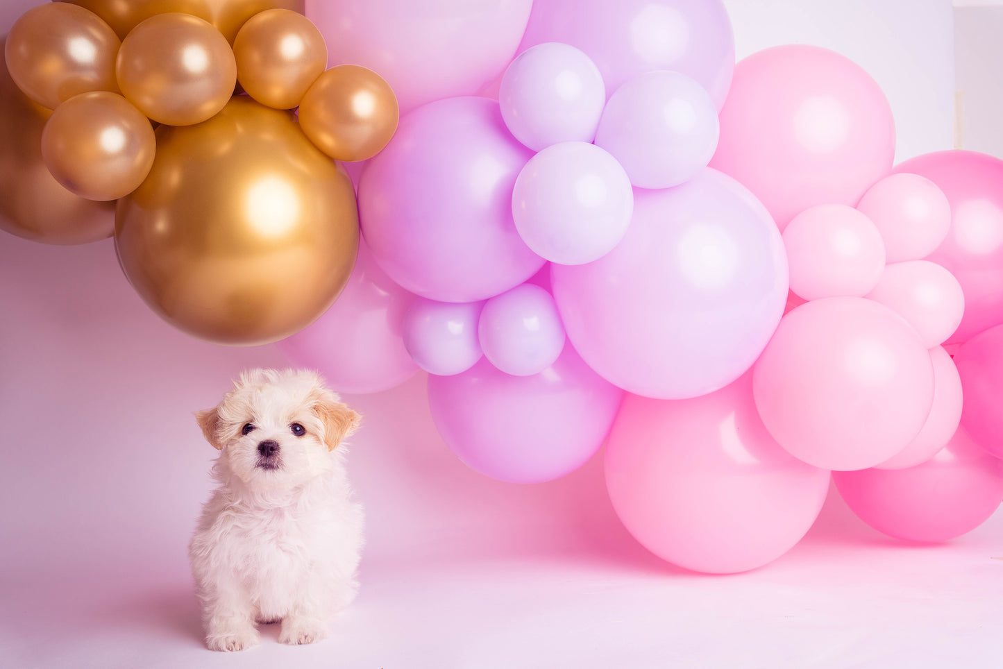 Pink, Lilac & Gold Balloon Garland Kit